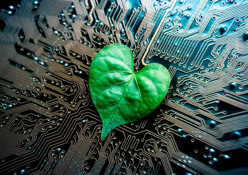 问鼎娱乐h5案例